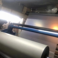 Nouveau rouleau de Film PET Dtf 60cm Peel à chaud Peeling à froid Transfert de chaleur pour animaux de compagnie pour l'utilisation d'impression Motif d'impression par transfert personnalisé