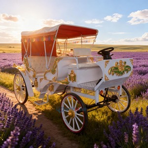 Vente en gros de calèches électriques personnalisables en couleurs sur mesure pour la visite touristique sans chevaux - Product Image 1
