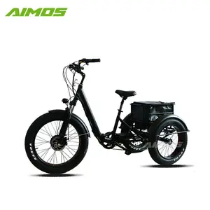 3 휠 전기 자전거 카고 프론트 모터 오토바이 오프로드 세발