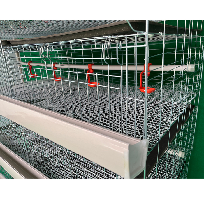 brooder cage for chicks