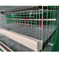 Cage d'élevage pour poussins d'un jour, conçue pour les fermes avicoles