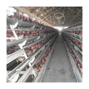 Poultry Animal Husbandry Equipment Steel Wire Mesh Chicken Layer Cage House Designs