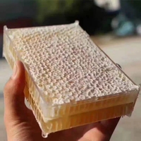 Boîte à miel en plastique transparente pour l'apiculture, de qualité alimentaire, 250g/500g, nid d'abeilles, outils d'apiculture, amovible, propre et hygiénique