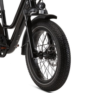 Bicicleta Eléctrica de Carga de Alta Calidad en Oferta, 48V 750W, 1x7 Velocidades, Cuadro de Aluminio, Bielas de 170mm, Bicicleta de Carga de Cola Larga - Product Image 2