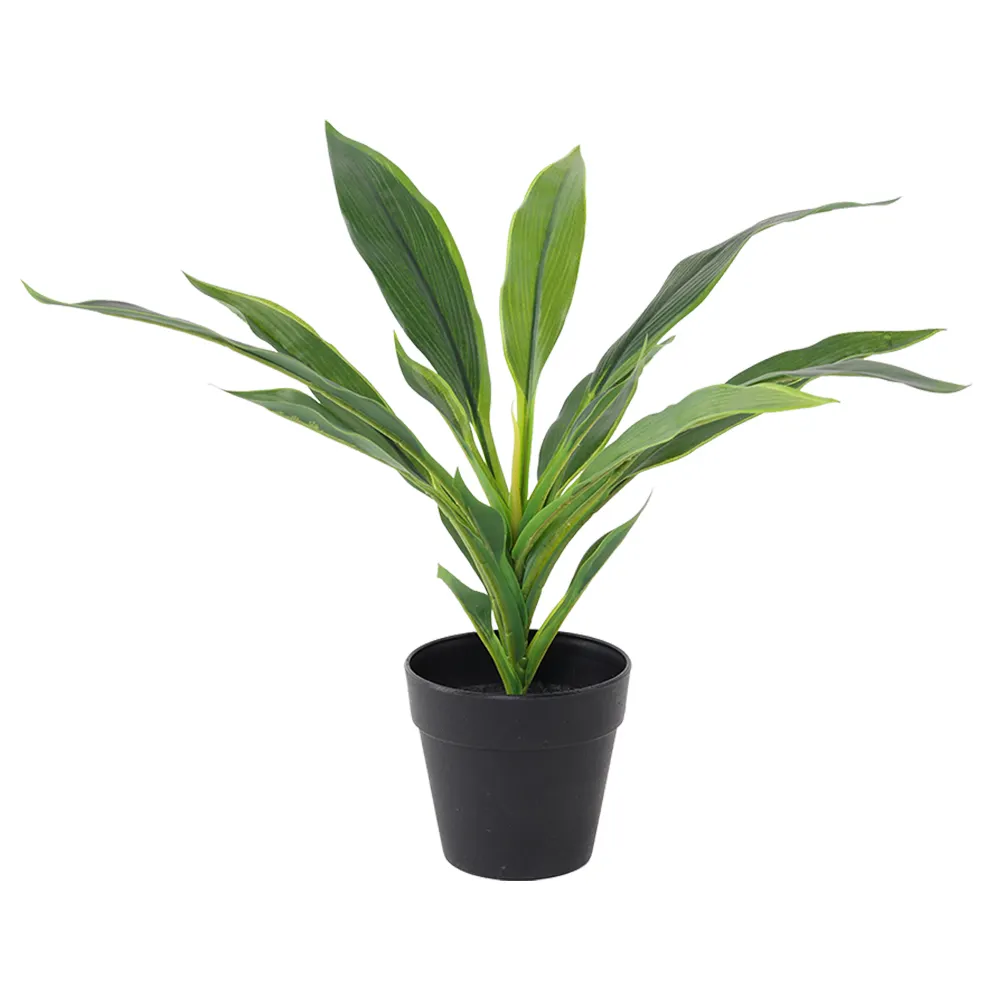 Décoration de salon réaliste plantes vertes Simulation en plastique 40cm Real Touch Strelitzia arbre bonsaï artificiel