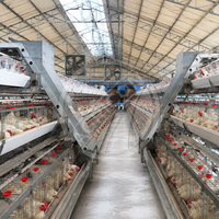 Système de cages automatiques pour poules pondeuses en acier galvanisé à chaud, type A, pour ferme avicole de 1000 à 10 000 oiseaux