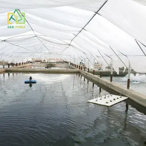 High Quality Hot-Dip Galvanized Structure Aquaponics Greenhouse from China Supplier