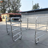 Panneaux de clôture portables en tube d'acier robustes et économiques pour l'élevage de bétail, d'chèvres, de porcs et de moutons, pour enclos ronds et mangeoires