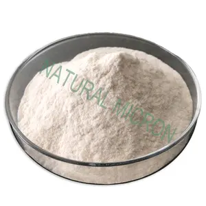 Voedsel Additief Cas 66829-29-6 Zetmeel Sodiilm Octenylsuccinate