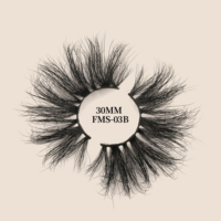 Worldbeauty Remy Prinzessin Wimpern Extensions Lash Tab