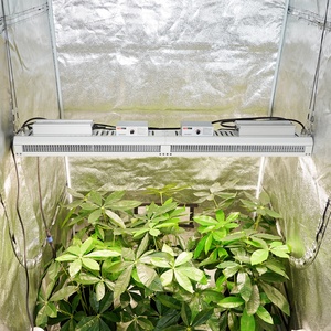 Oferta Especial: Lámparas LED de Cultivo PTU de 650W de Espectro Completo con Baja Emisión de Calor para Plantas Delicadas, Clones y Germinación de Semillas - Product Image 4