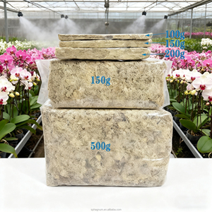 Musgo Sphagnum Estéril de Fibra Larga, Ecológico y Moderno para Proyectos de Manualidades, Modelismo, Detalles, Terrarios de Serpientes y Soporte para Plantas - Product Image 1