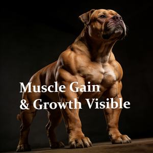 Comprimés à mâcher 2 en 1 pour la croissance musculaire des chiots et des chiens adultes, vitamines et compléments alimentaires pour chiots et chiens pour la croissance musculaire - Product Image 2