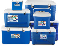 Glacière portable rotomoulée isolée avec poignée, idéale pour la plage, pour canettes de bière, aliments, glace et boissons, offrant une excellente isolation