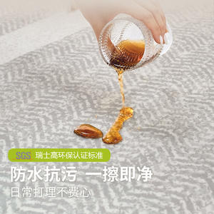 Tapis carré en polyester minimaliste, grande surface, imperméable, résistant à la saleté, sans entretien, pour chambre à coucher, sans lavage, ensemble à essuyer - Product Image 6