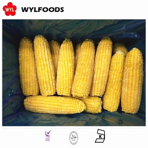 Frozen <strong>Corn</strong> of Frozen Sweet <strong>Corn</strong> Kernel for Hot Sales - Product Image 4