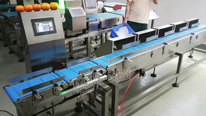 Automatic Food Grader Sorting Machine Weight and <strong>Size</strong> Sorting Machine for Fish Fishball - Product Image 3