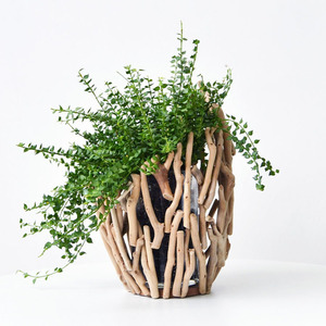 <span class=keywords><strong>Vase</strong></span> de décoration en <span class=keywords><strong>bois</strong></span> dérive naturel, fait à la main, dispositif en verre hydroponique pour décoration de maison - Product Image 1