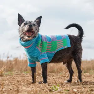 Qiqu Pet fornitore personalizzato nuovi accessori per animali 2023 maglione cucciolo di design per cani di piccola taglia cane jersey vestiti per cani di lusso