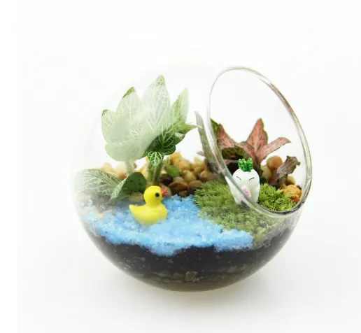 ガラスボトル透明丸ベベルガラス花瓶モス鉢植えマイクロ風景