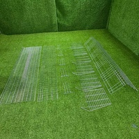 Cages en batterie pour poulets de chair, 3/4 niveaux, pour l'élevage avicole, capacité 20000 oiseaux, conception WIN directe usine