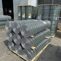 Cage à oiseaux enduite de zinc de haute qualité BRC rouleau de treillis métallique de soudure en fer galvanisé pour clôture prix de treillis métallique soudé