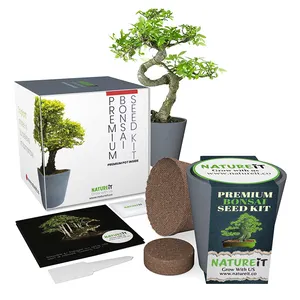 Garden bonsai tools mini planting kit grow your own bonsai tree seed starter kit with extensive instructions