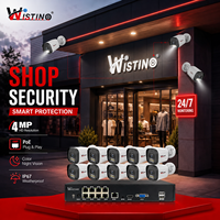 Sistema de Cámara de Seguridad PoE Wistino de 4MP, Estación de Paquetería y Envíos, Visión Nocturna IR LED, Cámara CCTV Preinstalada