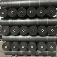 Toile de paillage agricole en PP tissé pour le contrôle des adventices, idéale pour les jardins et vergers