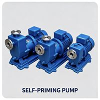 Bomba Magnética Autocebante Horizontal de Acero Inoxidable ZCQ de Alta Resistencia, Bomba Autocebante de Alta Presión para Carga y Descarga de Líquidos en Tanques