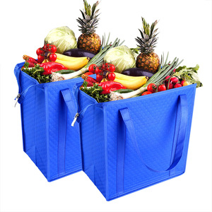 Promotional Thermal Cooler Bag with Custom Logo Non-Woven Lunch Refrigerator Grocery Backpack for Work or School