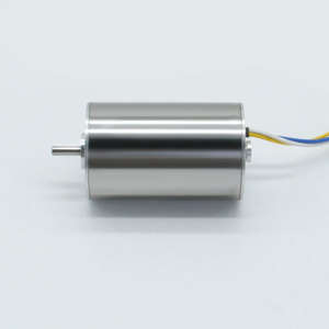 Moteur électrique miniature sans balais DC Abj3257 32 mm 12/24 V pour usage en jardinage - Product Image 3