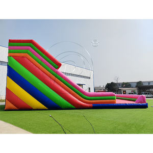 Château gonflable commercial avec toboggan combiné et mur d'escalade, toboggans géants gonflables commerciaux à vendre avec deux échelles - Product Image 5