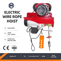 Treuil électrique micro-treuil avec télécommande sans fil et commande filaire certifié CE antirouille pour entrepôt, usine, garage
