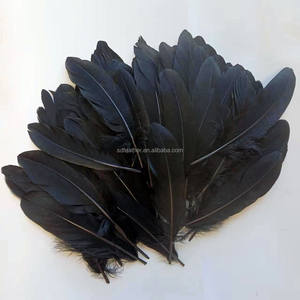 Precio al por mayor, plumas de ganso blancas y negras de 6-8 pulgadas para bádminton, Ala de Ángel, artesanía, atrapasueños, decoración, disfraz de Carnaval - Product Image 5