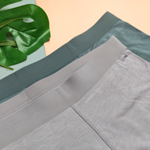Ropa Interior Cómoda y Transpirable sin Costuras para Hombre, Talla Grande, Bóxers y Calzoncillos Sexys, Calzoncillos Tipo Bóxer para Hombre de Fábrica - Product Image 4