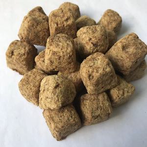 Artemia de crevettes de saumure pour la nourriture pour animaux de compagnie de poissons tropicaux d'aquarium - Product Image 3