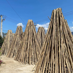 Estacas cortas de bambú para jardín para plantas de vivero y verduras trepadoras, producto ecológico hecho de materias primas - Product Image 1