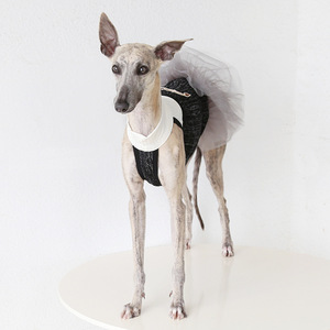 Último Diseño de Vestido Vintage para <span class=keywords><strong>Perro</strong></span>, Ropa de Moda con Falda Abullonada, Ropa Casual de Verano para Perros - Product Image 6