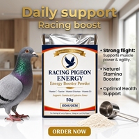 Pigeon Energy Booster avec Vitamine C, D3, Taurine et Glucose – Poudre 50g pour la Course, l'Endurance et la Récupération Rapide – Vente en Gros
