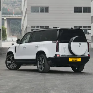 Jishi 01 New Energy Vehicles Extended Range Car 7 Seats Medium And Large SUV Luxury Suv