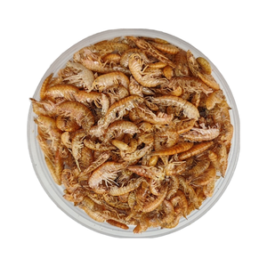 AquaV Alta Qualidade Personalizado Pet <span class=keywords><strong>Food</strong></span> Gammarus de Alta Proteína de Alto Nutriente para Peixe - Product Image 1