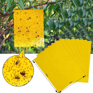 100 pièces/paquet - Piège à insectes jaune de petite taille 10x20cm, colle non toxique pour <span class=keywords><strong>plantes</strong></span> d'intérieur, jardin domestique, lutte antiparasitaire - Product Image 2