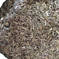 Yulin City Factory Vanille Acheteurs Graines À Vendre Vanille Herbe Herbe Pour Une Utilisation Professionnelle De Boulangerie
