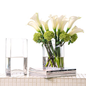 Modern Transparent Hydroponic Glass <b>Vase</b> Wide-mouth Glass Decorative <b>Vase</b> - Product Image 1