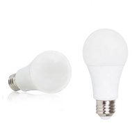 Ampoule LED basse tension 7W A60 DC 24V