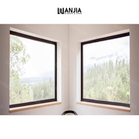 Fenêtre fixe en aluminium insonorisée de conception moderne minimaliste WANJIA avec verre personnalisé pour villa, salon