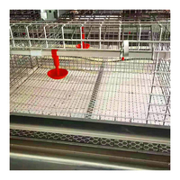Cage de couveuse automatique pour poules, plantes capillaires, pour le jour