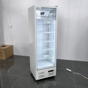 Réfrigérateur Commercial Pepsi pour Boissons, Vitrine Réfrigérée en Acier Inoxydable 201, Sans Givre - Product Image 4
