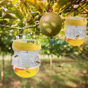 Trampa de avispones Colector de insectos al aire libre Abejas colgantes Trampa para avispas moscas Botella Avispas solares Trampa para insectos de abejas - Product Image 2